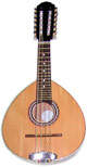Professional Mandolin - Nogal wood