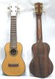 Professional Ukulele - Jacaranda wood. Soundboard: Oregon Pine