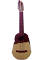 Ronroco Electroac�stico Profesional en madera Naranjillo