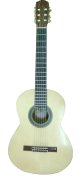 Guitare Professionnelle