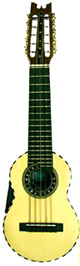 Electroacoustic Concert Charango - Jacarand�