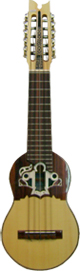 Professional Charango Armadillo Carving