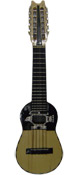 Professional charango - Condor soundhole