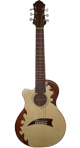 Traveler Guitar with Decorations