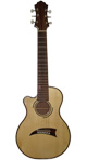 Slim Traveler Guitar
