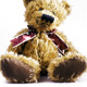 Belly, the Christmas Teddy