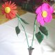 Jipi Japa small flower