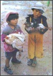 Kinder aus Ravelo Potos�