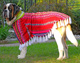 Awayo poncho for pet