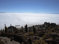 Uyuni/Uyuni 1 Day (Private Service)
