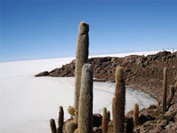 4 Days / 3 Nigths - Uyuni/Uyuni (Private Service)