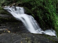 National Park Cotapata and Coroico