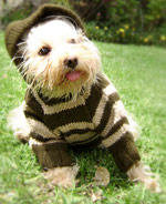 "Hoodie" dog sweater