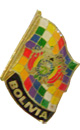 "Whipala and Coat of Arms" pin