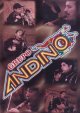 GRUPO ANDINO - VCD