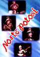 VCD - Norte Potosi