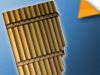 Wind Instruments for Beginners