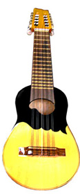 Professional Charango