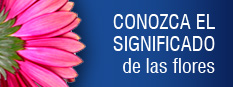 No se puede mostrar la imagen “http://www.boliviamall.com/catalog/includes/languages/espanol/images/flowers/SIGNIFICADO_FLORES.jpg” porque contiene errores.
