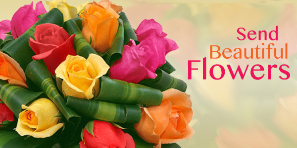 Flowers Bolivia