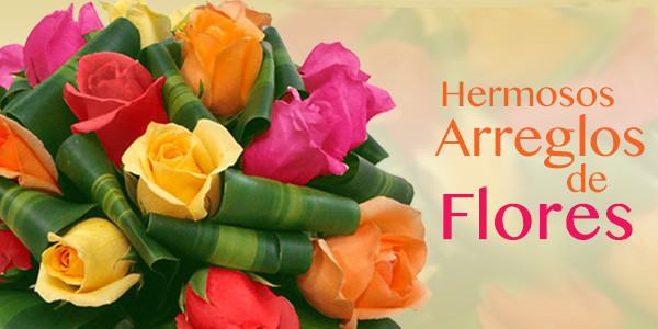 Florerias Bolivia