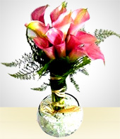 Blumen und Geschenke - Ausgeklgelt: Callas und Grn