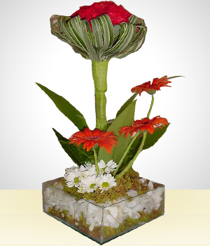Father's Day Flower Arrangement
