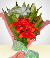 Arreglos Florales - Bouquet para Regalarle a El