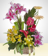 Blumen und Geschenke - Das Frische Gesteck: Gerbera, Anthurien und Lilien