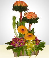 Gerbera - Arreglo Primaveral con Rosas