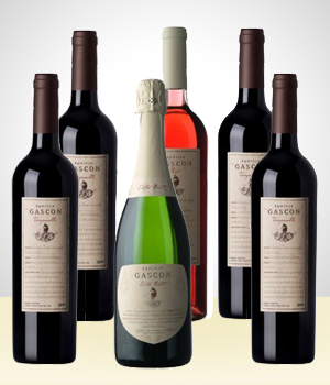 6  wine bottles set - Gascon (origin: Argentina)