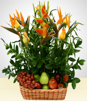 Friendship Day - Naturalism Arrangement with Fruits