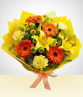 Spring Day - Spring Bouquet: Gerberas and Carnations