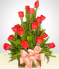 Liberty: Arreglo de 18 de Rosas