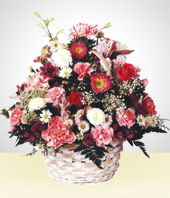 Birth - Birth Arrangement