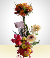 Blumen und Geschenke - Die Unzertrennlichen im Glas: Callas, Rosen und Gerbera