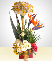 Flower Arrangements - Spring Bouquet with Birds of Paradise