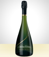 Ms Regalos - Champagne Navarro Correas Extra Brut