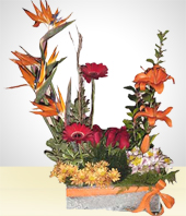 Flower Arrangements - Spring Arrangement with Paradise Birds