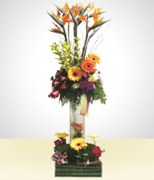 Flowers - Deluxe Spring Arrangement with Roses