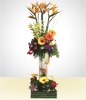 Deluxe Spring Arrangement with Roses