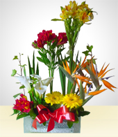 Alstroemerias - Beautiful Glass Bowl Flower Arrangement