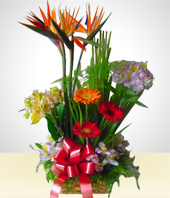 Paradise birds - Spring Rustic Flower Arrangement 1