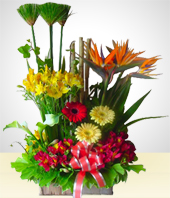 Gerbera - Rstico primaveral 2