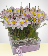 Alstroemerias - Glass Bowl Flower Arrangement with purple gel filling