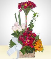 Condolences - Condolence Arrangement with Alstroemerias and Roses
