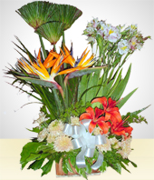 Condolences - Condolence Arrangement with Alstroemerias and Crysanthemum