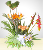 Condolence Arrangement with Alstroemerias, Birds of Paradise and Roses