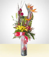 Flower Arrangements - Espatifilum Arrangement