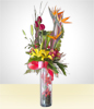 Espatifilum Arrangement
